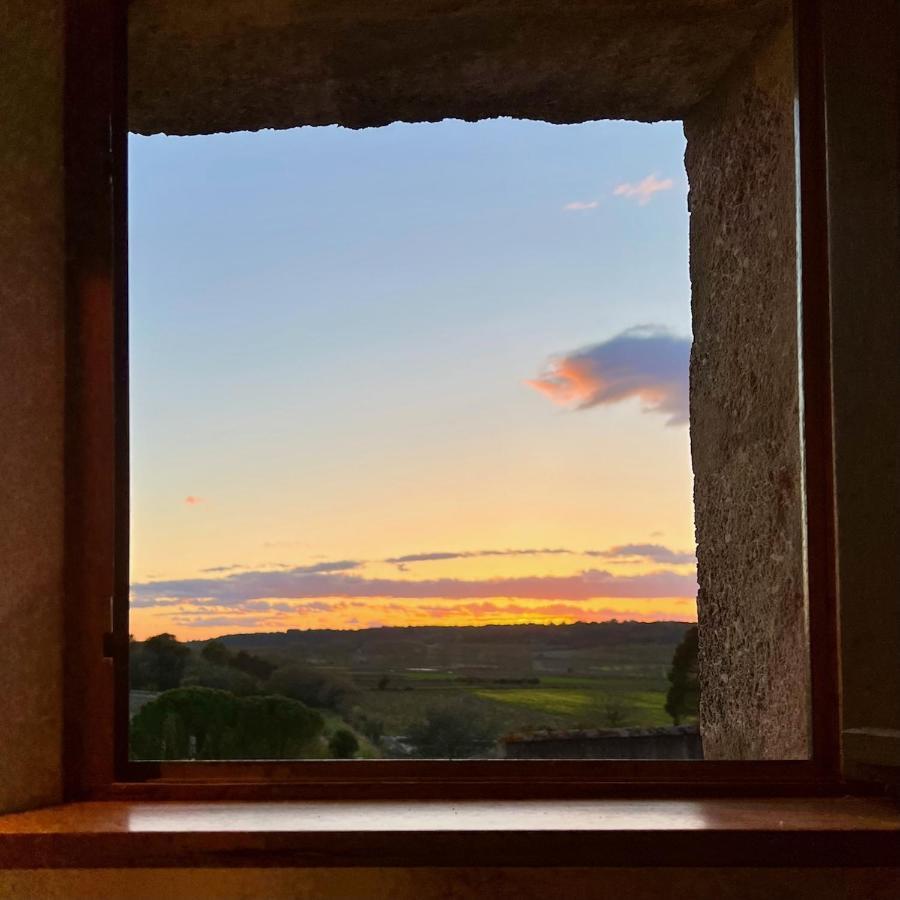 Proche Uzes Le Cocon Du Peintre Anglais Sagriès Dış mekan fotoğraf